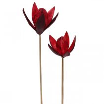 Vild lilje på stængel rød Ø6,5cm 35cm 45p