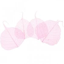 Artikel Skeletblade Pileblade skeletiseret pink 5-9cm 200 stk