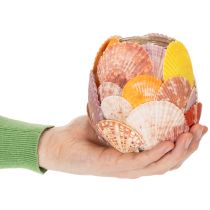 Artikel Nautisk fyrfadsstage, lanterne, ægte muslingeskaller, dekoration til badeværelse, feriestemning, 12 cm