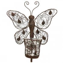 Artikel Lanterne metal vægdekoration sommerfugl rust dekoration 36,5cm