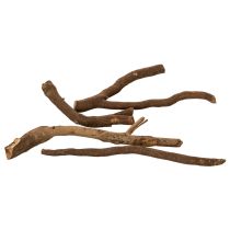 Artikel Dekorative trægrene og grundstammer, naturligt tørrede, 18 cm, 500 g