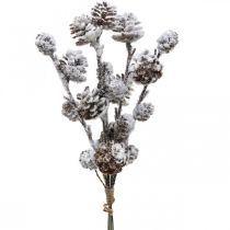 Artikel Julegrene keglegren sneklædt 30cm 5 stk i bundt
