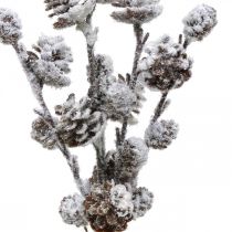 Artikel Julegrene keglegren sneklædt 30cm 5 stk i bundt