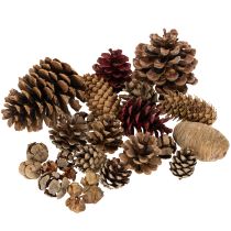 Artikel Blandede kogler, naturlige, til hobbyarbejde og adventspynt, 2-10 stk., 400 g