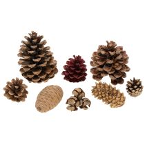 Artikel Koglemix Natur – Kogler til Kreativ Dekoration og Adventsbrug 2-10 cm, 400 g