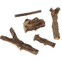 Artikel Fortryllende dekorative trærødder til dit hjem