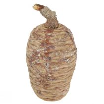 Artikel Cederkegler dekorativ cedertræ natur 9-10,5cm 3 stk