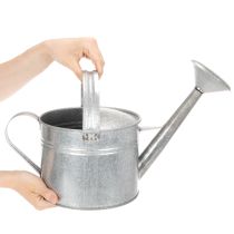 Artikel Vintage vandkande i zink, 27 cm - plantekasse til have og terrasse, metalblomsterpotte