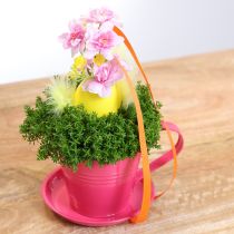 Artikel Plantebæger med underkop til kreative haver, 11 cm, 6 stk.