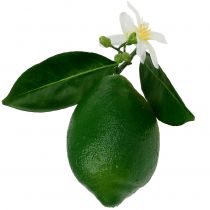 Citroner med blomst 9,5 cm grøn 4 stk