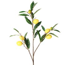 Artikel Kunstig citrongren kunstig citrongren 91cm 2stk