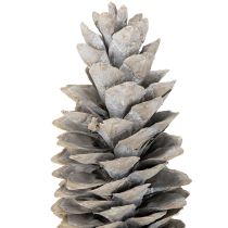 Artikel Sukkerkogler hvidkalkede 20 cm - 30 cm