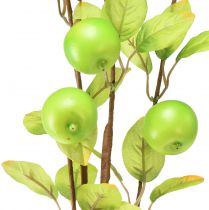 Artikel Kunstig dekorativ æblegren grøn 80cm