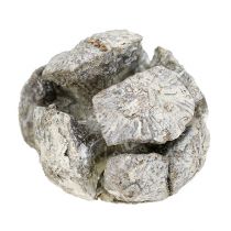 Artikel Cypreskogler 3 cm hvidvaskede 500 g