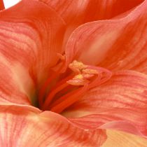 Artikel Amaryllis dekorative blomster i orange kunstig L55cm 2stk