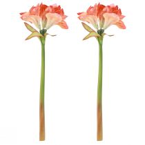 Artikel Amaryllis dekorative blomster i orange kunstig L55cm 2stk