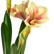 Artikel Amaryllis i en moskugle kunstig med lyserøde-gule mønstrede blomster - 45 cm - Eksotisk og stilfuld dekoration