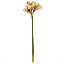 Artikel Kunstig amaryllis blomst i pink og gul - 66 cm - ideel gaveidé og stilfuld dekoration til interiøret