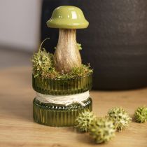 Artikel Sweetgum kegler grøn frostet 250g