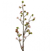 Cherry Blossom Branch Pink 95cm