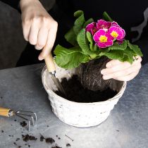 Artikel Kurvedekoration i flet til alsidig indretning, 20 cm, 8 stk.