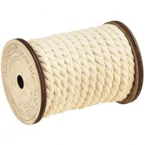 Artikel Bomuldssnor dekorativ ledning creme Ø6mm 5m hver 2stk