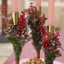 Artikel Bærplukker Rød 23 cm 12 stk