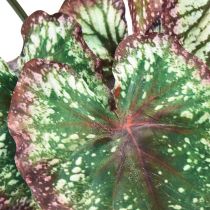 Artikel Begonia Kunstige Planter Blad Begonia Grøn Lilla 62cm