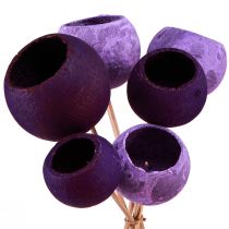Artikel Klokkekop på pind Eksotisk tør dekoration Purple Berry 44cm 15 stk