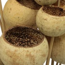 Artikel Bell Cup Mix på pind Natural Exotics 15 stk