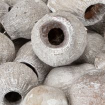 Artikel Hvidkalkede klokkegummier 2 cm - 5 cm 500 g