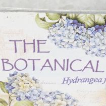 Artikel Oval metalblomsterskål med håndtag, til hortensiaer, 32×15×15 cm