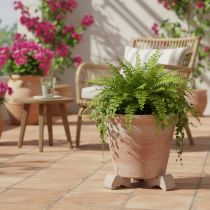 Artikel Urtepottefødder, praktisk forhøjning, pottetilbehør til altan og terrasse, 7 cm, 3 stk.