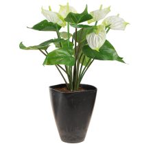 Artikel Orkidé urtepotte plastik antracit 13,5x13x16,5cm 4 stk.