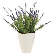 Artikel Urtepotte plast orkidé potte plast hvid H16,5cm 4stk