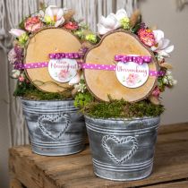 Artikel Urtepotte Shabby Chic plantekasse metalhjerte Ø22cm H17,5cm