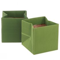 Artikel Blomsterpose grøn olivengrøn ribbet med folie 10,5cm 6 stk