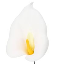Artikel Calla liljer, mellemstore, på tråd, 50 stk.
