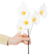Artikel Calla liljer, mellemstore, på tråd, 50 stk.