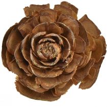Artikel Kegler af cedertræ skåret som en rosencederrose 4-6cm naturel 50 stk