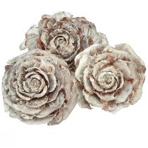 Artikel Cederkegler skåret som rosencederrose 4-6cm hvid/naturlig 50 stk