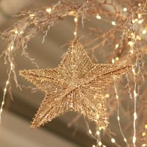 Artikel Juletræspynt, adventspynt, stjernevedhæng gyldent B20,5 cm 6 stk.