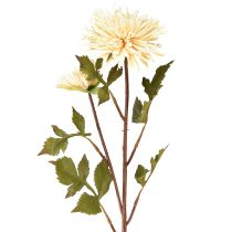 Artikel Krysantemum creme kunstig blomst med 2 blomster L70cm