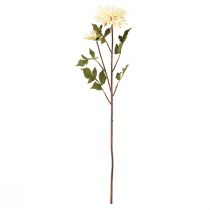Artikel Krysantemum creme kunstig blomst med 2 blomster L70cm