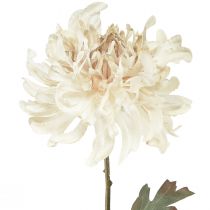 Artikel Krysantemum Kunstige Dekorative Blomster Creme L72cm 2stk