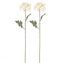 Artikel Krysantemum Kunstige Dekorative Blomster Creme L72cm 2stk