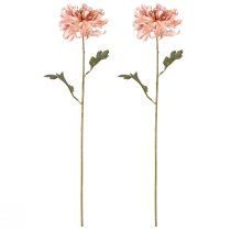 Artikel Krysantemum Pink Laks Kunstig Ø13cm L72cm 2stk