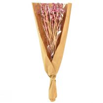 Artikel Karryurt Immortelle Artificial Pink L28cm 12 stk 1 bundt