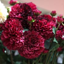 Artikel Kunstige dahliablomster med lilla blomster Ø10cm L80cm 2 stk.