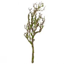 Artikel Dekorativ gren med mos kunstig efterårsdekoration grågrøn L78cm